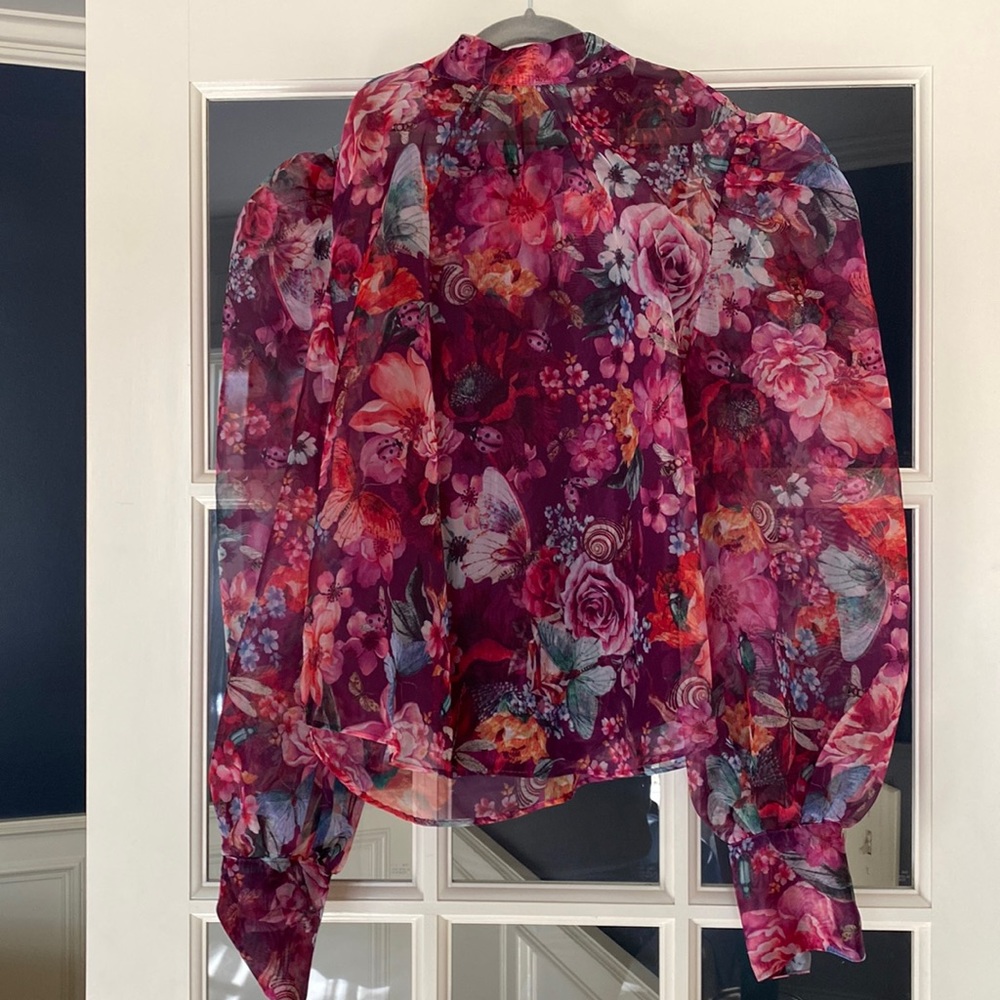 Anthropologie Organza Blouse
